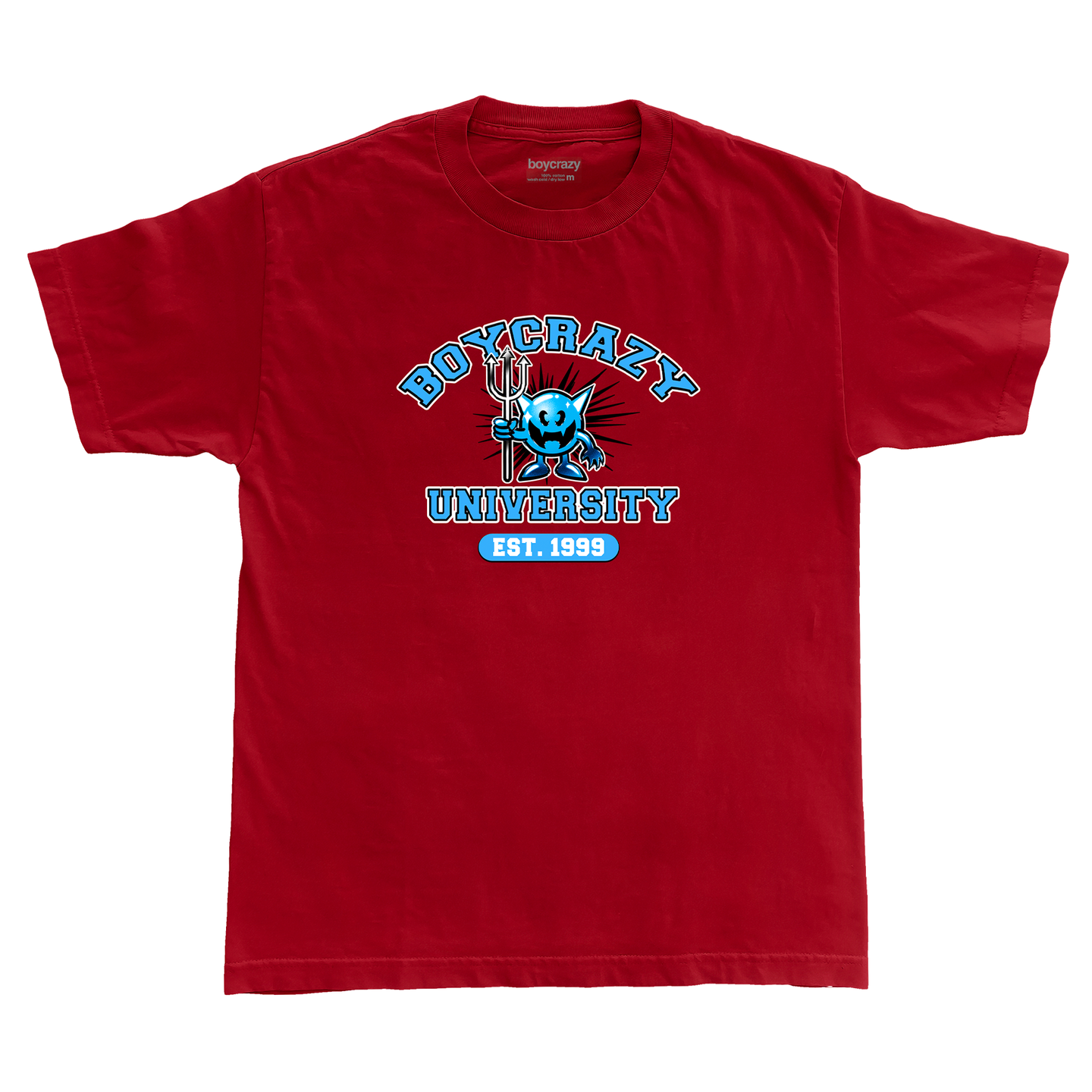 BC UNIVERSITY TEE